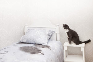 Bed linen 1 Bedding set Mice in light blue