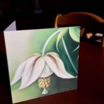 Õnnitluskaart Liilia