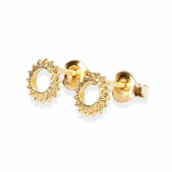 Earrings Shine brightly